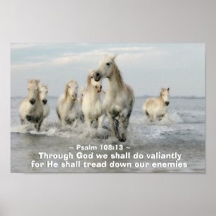 Through God we shall do Valiantly Psalm 108:13 Poster
