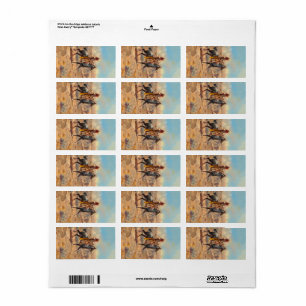 Through the Alkali, 1904 by Charles Marion Russell Label