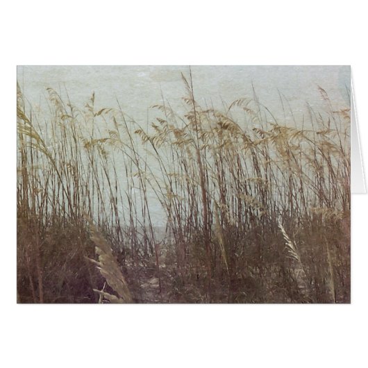 Through the Dunes II Cards (Front Horizontal)