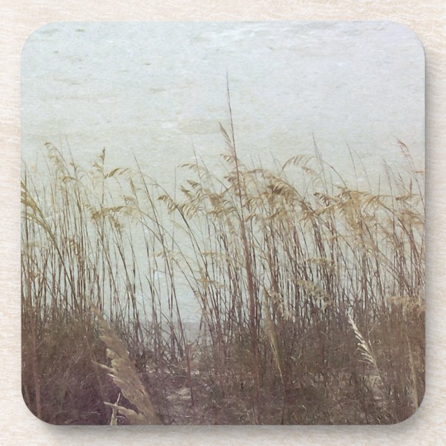 Through the Dunes II Drink Coaster (Front)