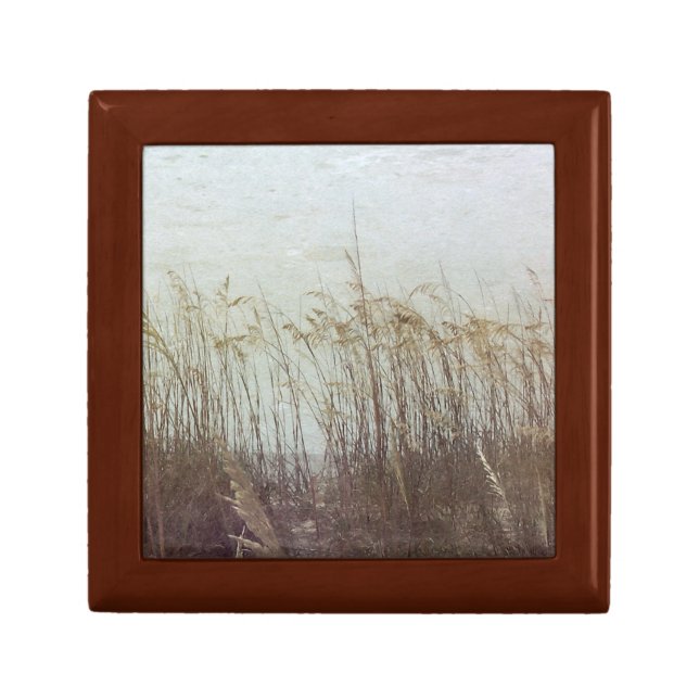 Through the Dunes II Gift Box (Front)