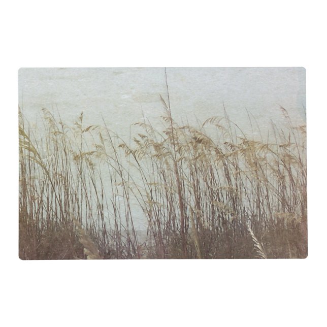 Through the Dunes II Placemat (Front)