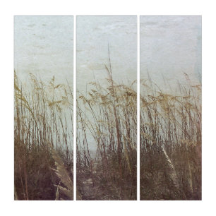 Through the Dunes II Triptych
