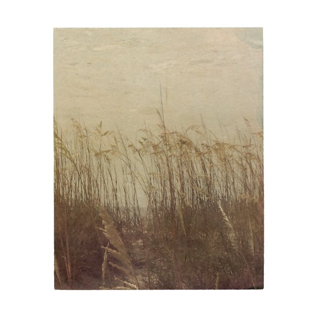 Through the Dunes II Wood Wall Decor (Front)