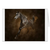 Through the dust (Front Horizontal)