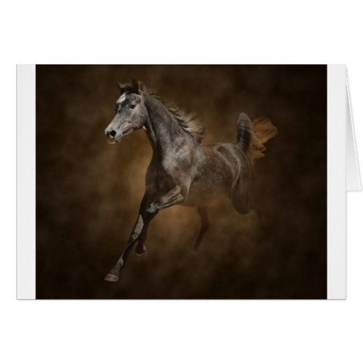 Through the dust (Front Horizontal)