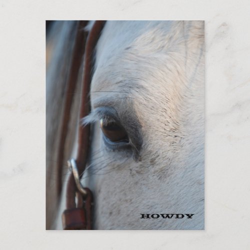 Through the Eye of a Horse Post Card