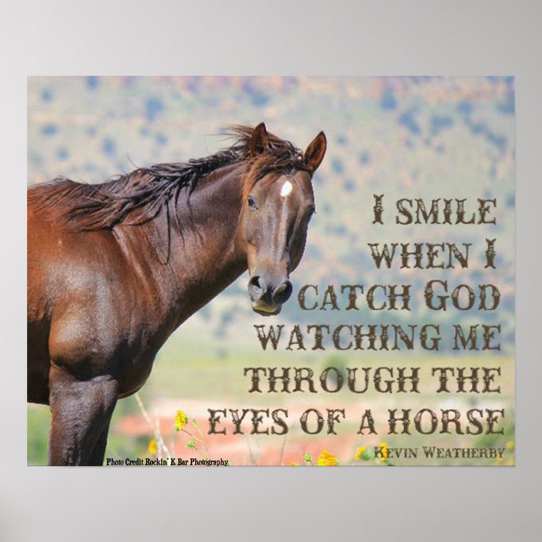 Through the Eyes of a Horse Poster | Zazzle