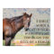 Through the Eyes of a Horse
