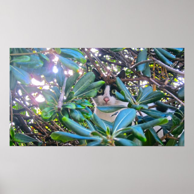 Through The Leaves Poster (Front)