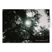 Through The Looking Glass (Front Horizontal)