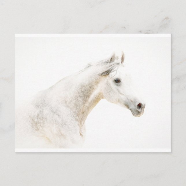 Through the Mist Postcard (Front)