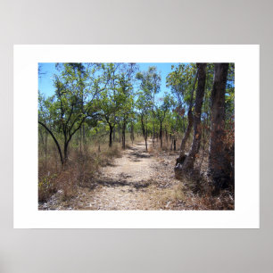 Through the Trees Australia Color Photography Poster