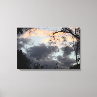Through the Trees Canvas Print