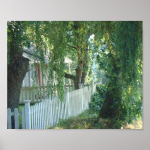 Through The Weeping Willow Poster