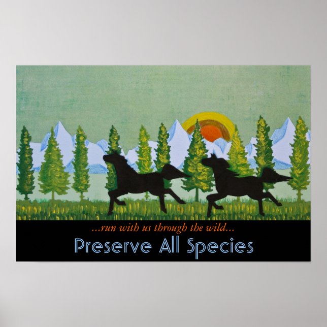 Through the Wild Poster (Front)