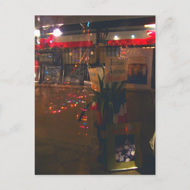 Through the Window at the Italian American Museum Postcard (Front)