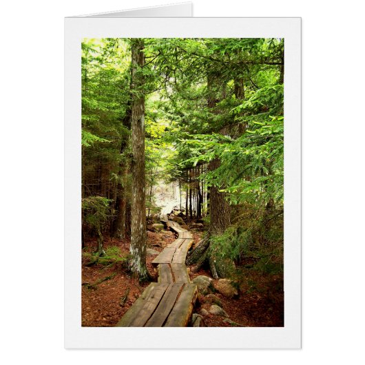 Through the Woods Cards (Front)
