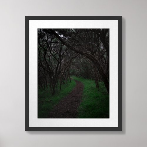 Through the Woods Framed Art