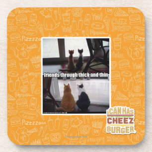 Through thick and thin coaster