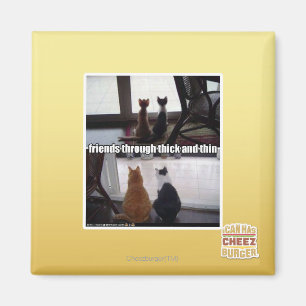 Through thick and thin magnet