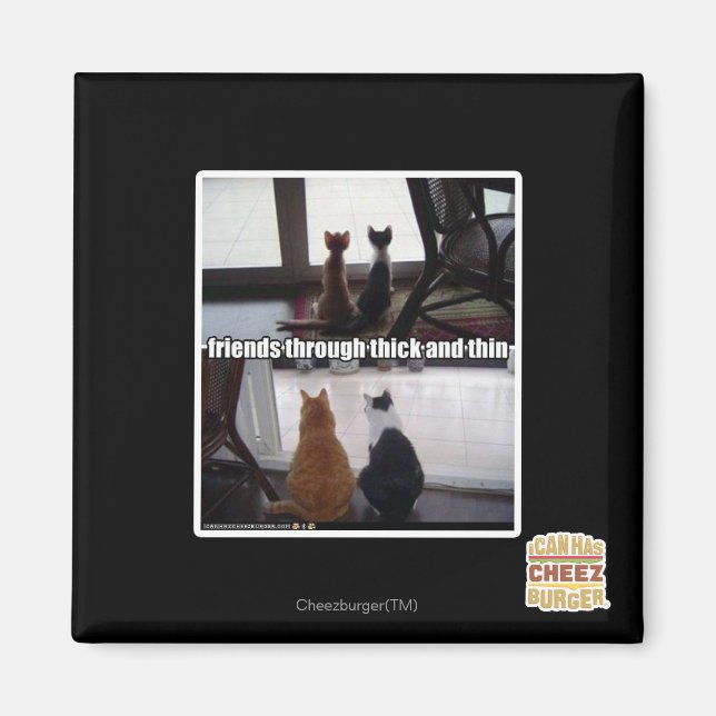 Through thick and thin magnet (Front)