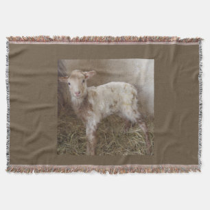 Throw Blanket