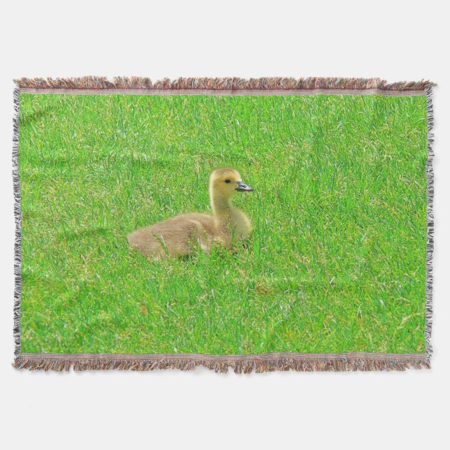 Throw Blanket (Front)