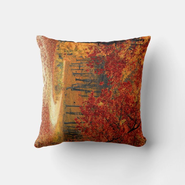 Throw Pillow (Back)