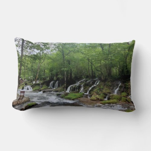 Throw Pillow