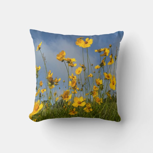 Throw Pillow (Front)
