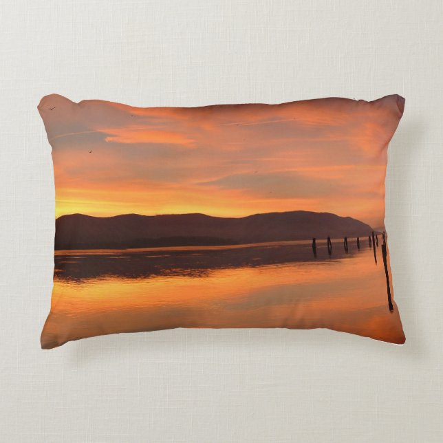 Throw Pillow (Front)