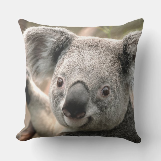 Throw Pillow (Front)