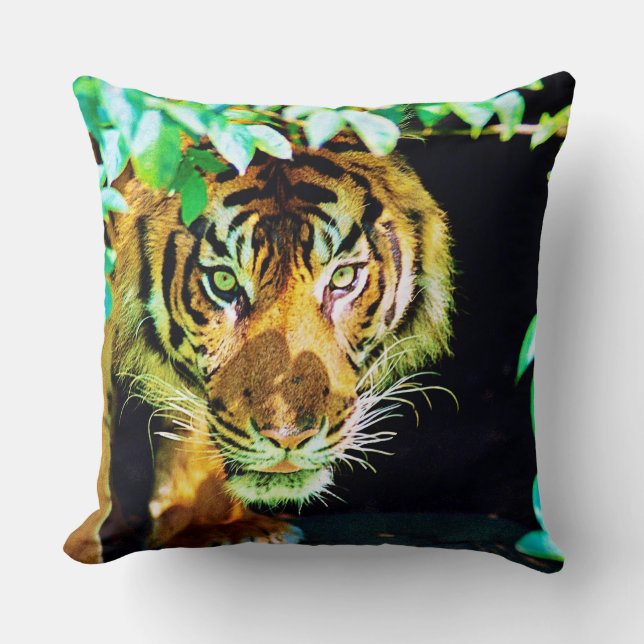 Throw Pillow (Front)