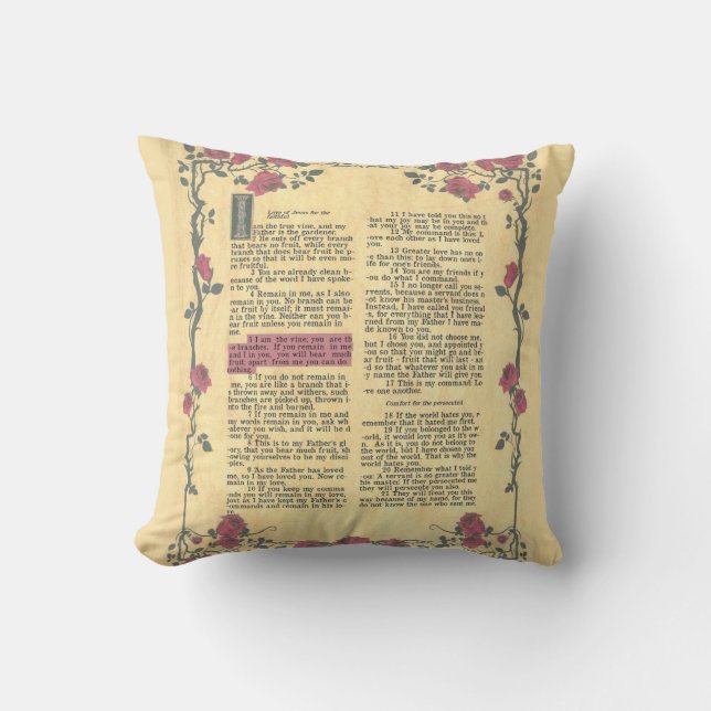 Throw Pillow (Front)