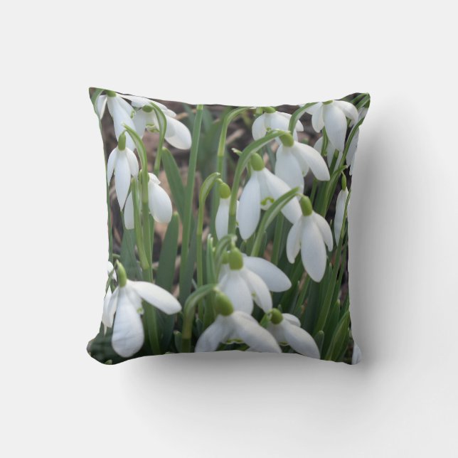 Throw Pillow (Front)