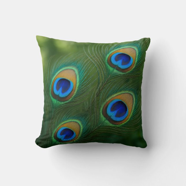Throw Pillow (Front)