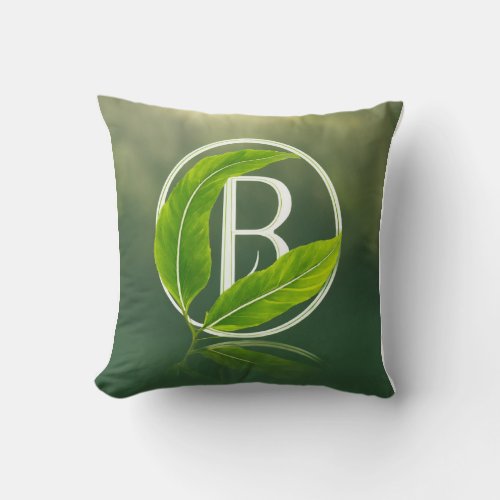 Throw Pillow