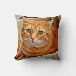 Throw Pillow 16" x 16"