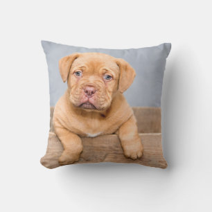 Throw Pillow 16" x 16"