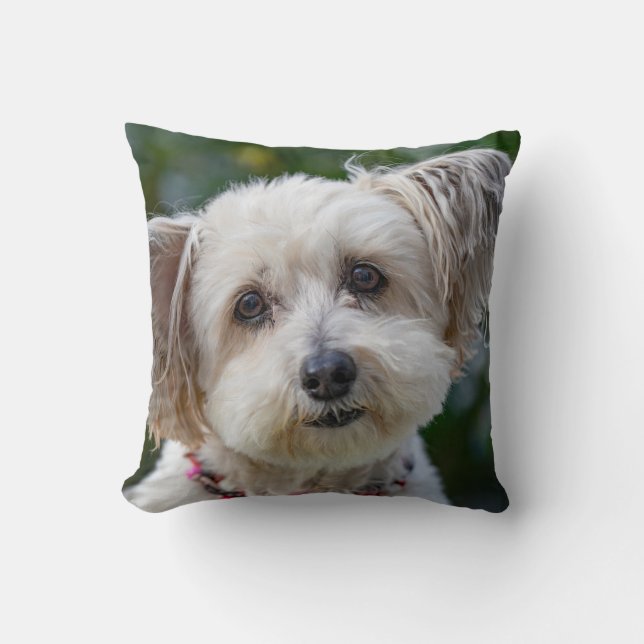 Throw Pillow 16" x 16" (Front)