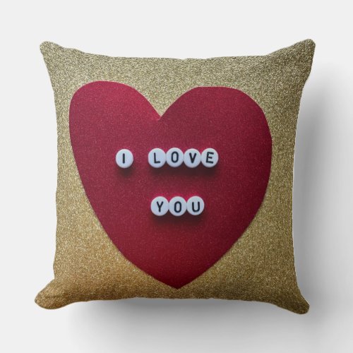 Throw Pillow 20 x 20