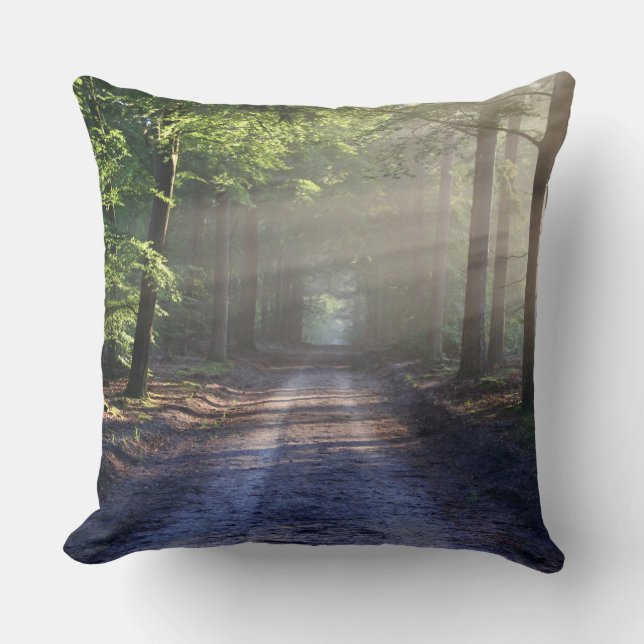 Throw Pillow 20" x 20" (Front)