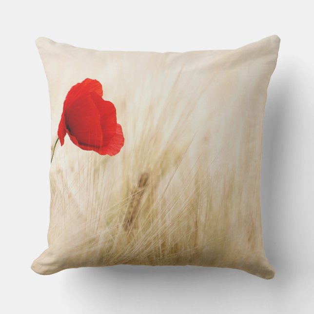 Throw Pillow 20" x 20" (Front)