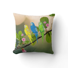 Throw Pillow Budgies Bird