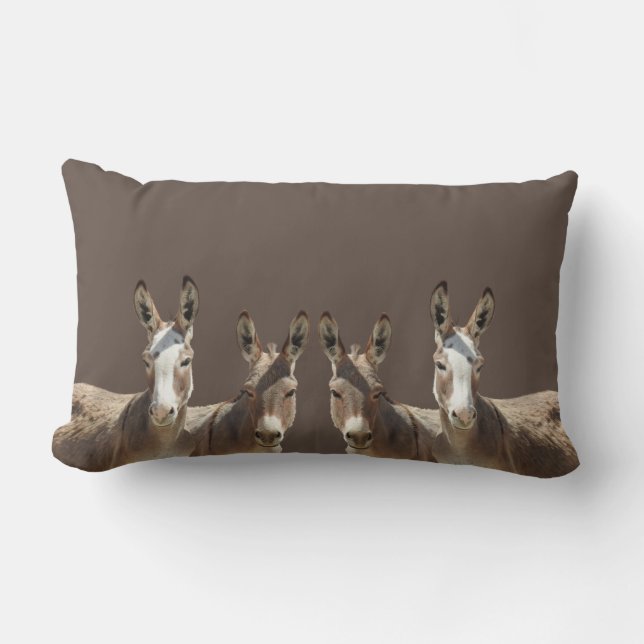 Throw pillow, donkeys, wildlife gifts lumbar pillow (Front)
