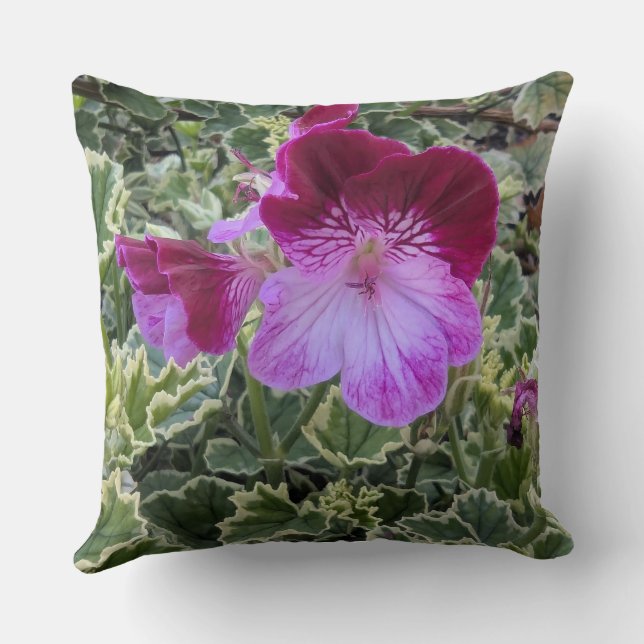 Throw Pillow-Floral series Geranium-Throw  Pillow (Back)