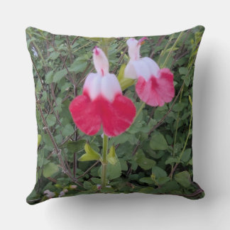 Throw Pillow-Floral series -Hot Lips salvia Pillow