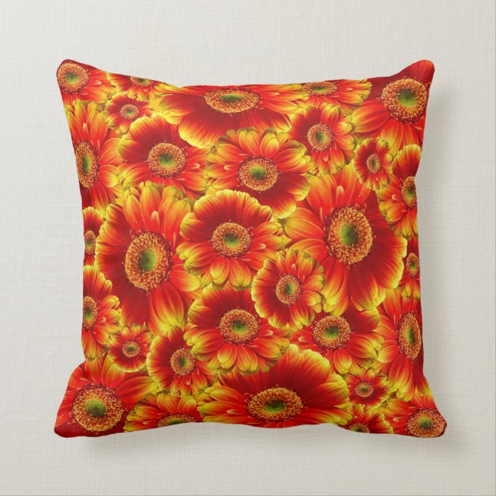 Throw Pillow For Couch, Chair, Bed or Anywhere