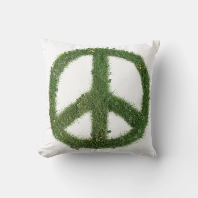 Throw pillow for every room (Front)